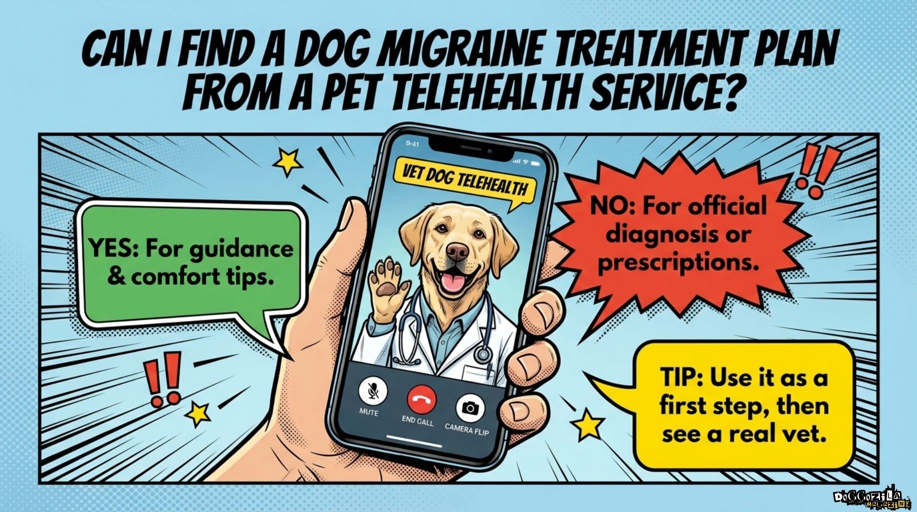 dog migraine treatment plan