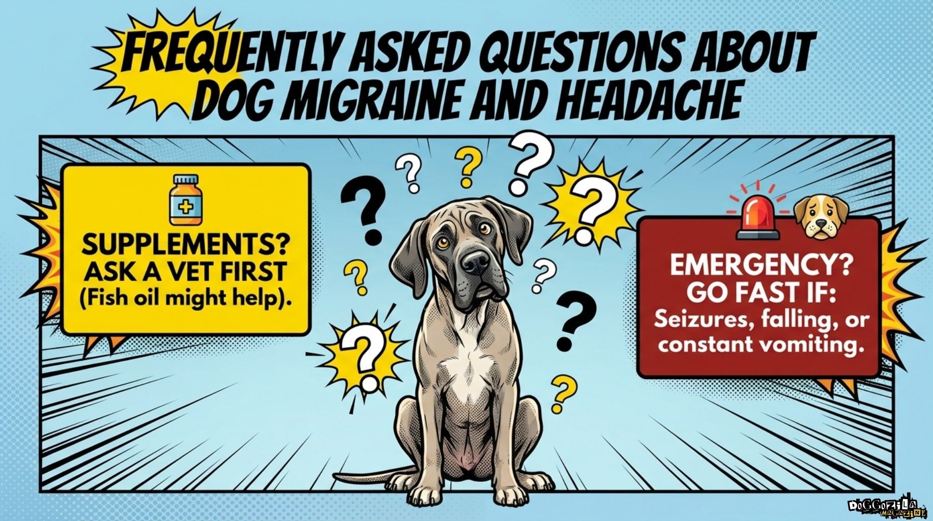 frequently asked questions about dog migraine and headache