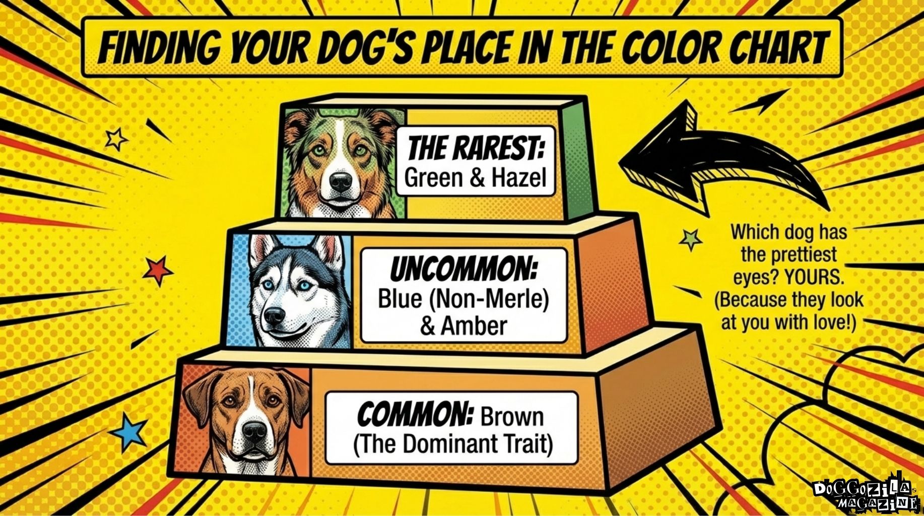dog eye colors chart