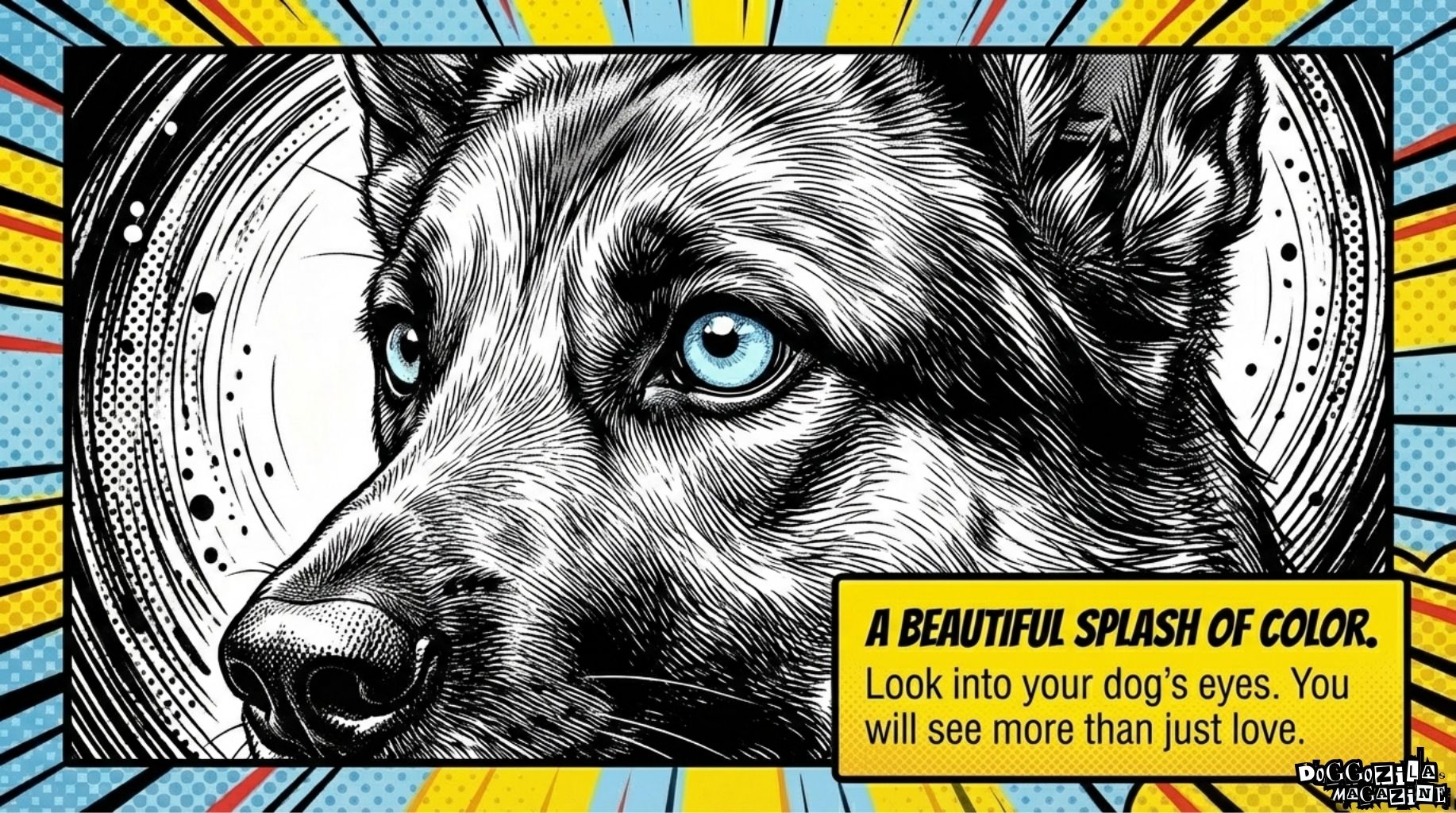 beautiful splash of color