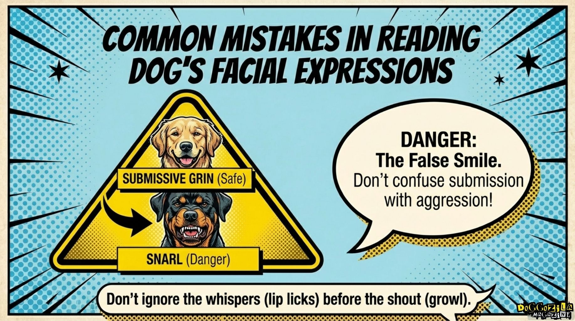mistakes you do when you read your dog face