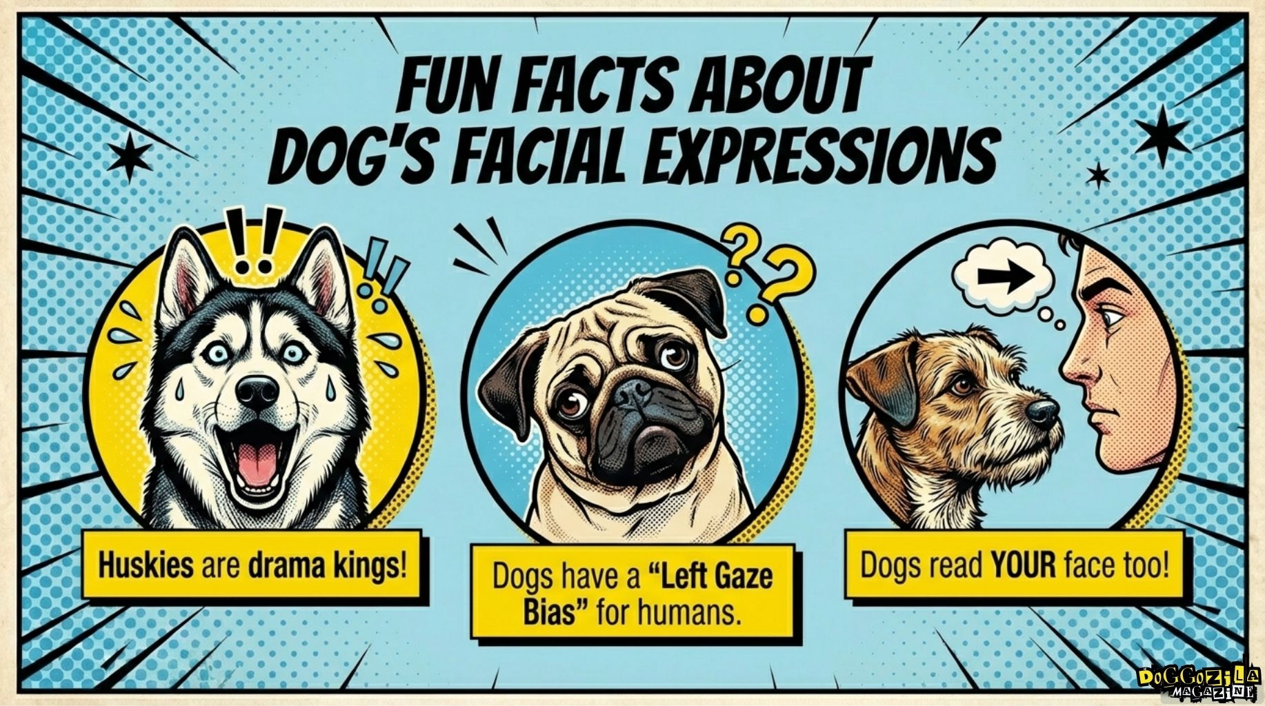 fun facts about dog facial expressions