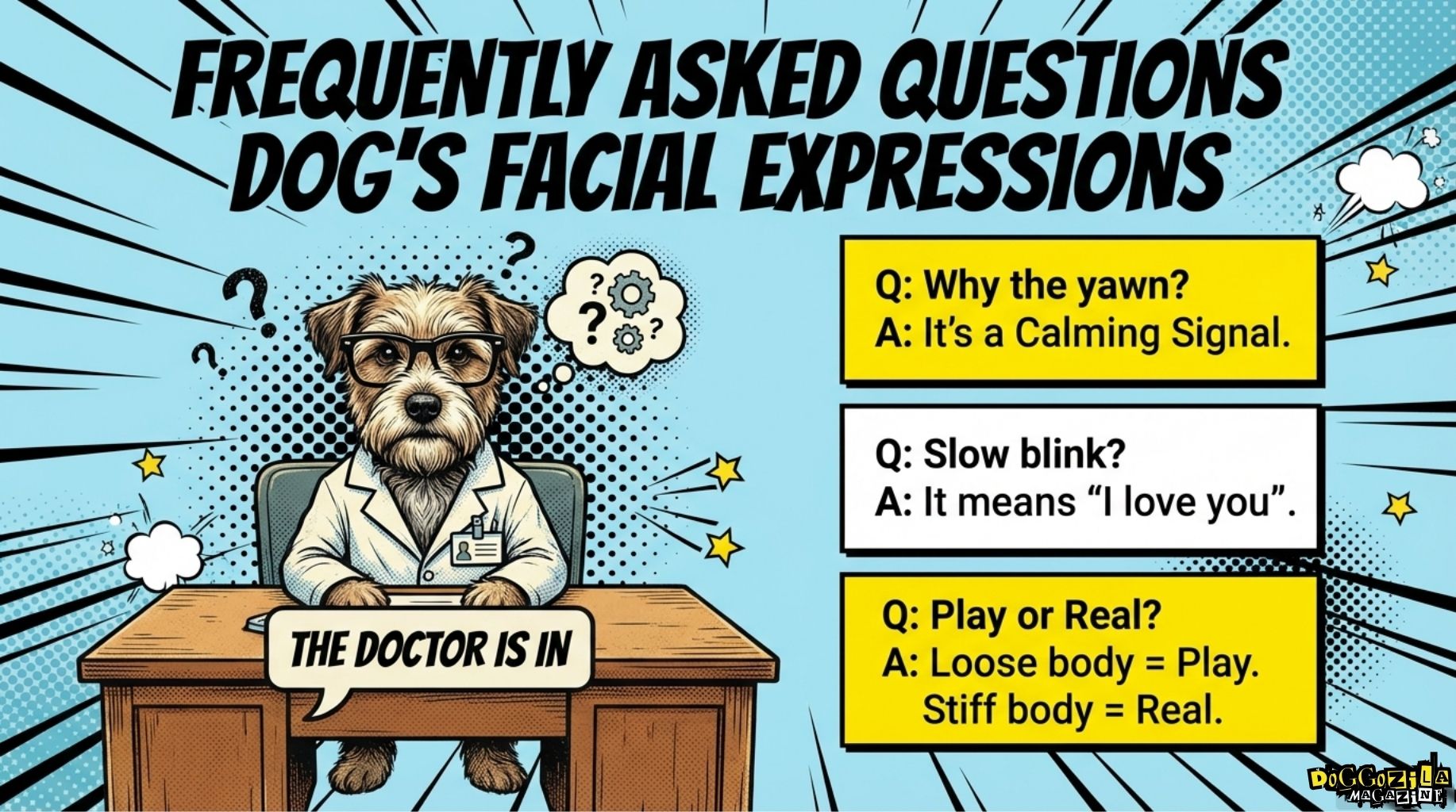 frequently asked questions about dog facial expressions