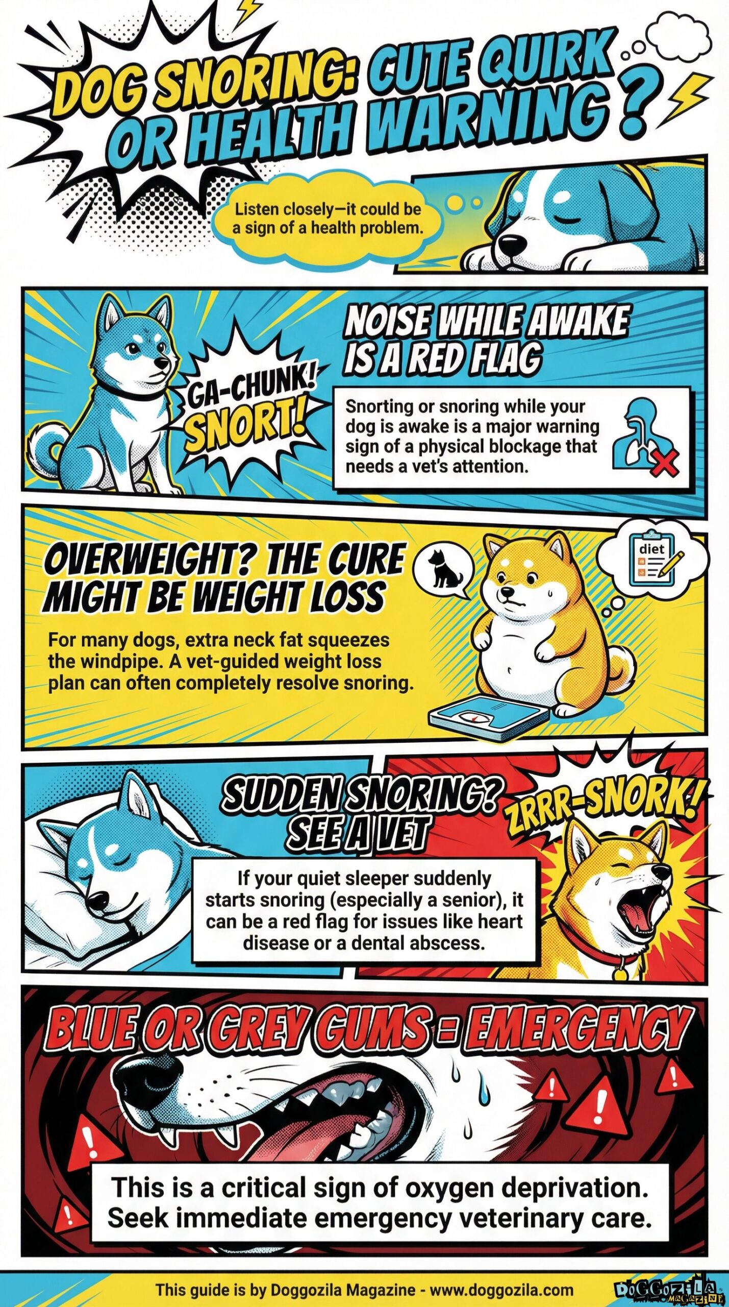 dog snoring can be a health problem