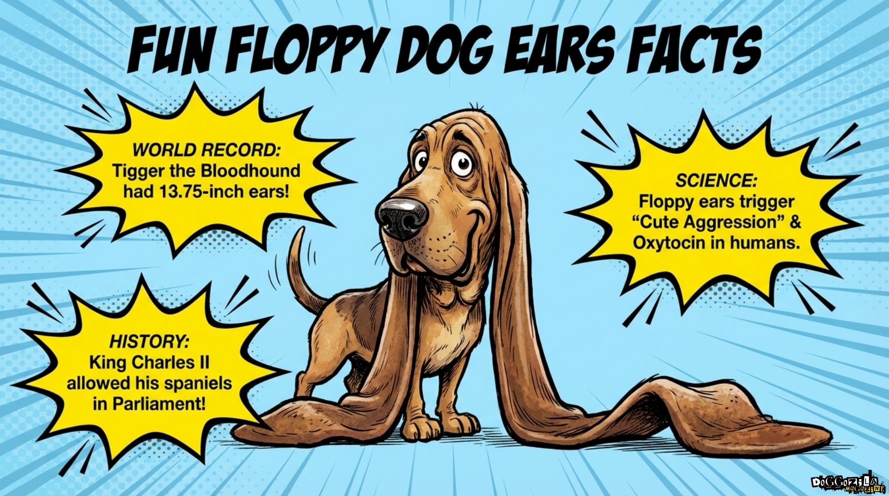 dog ear facts