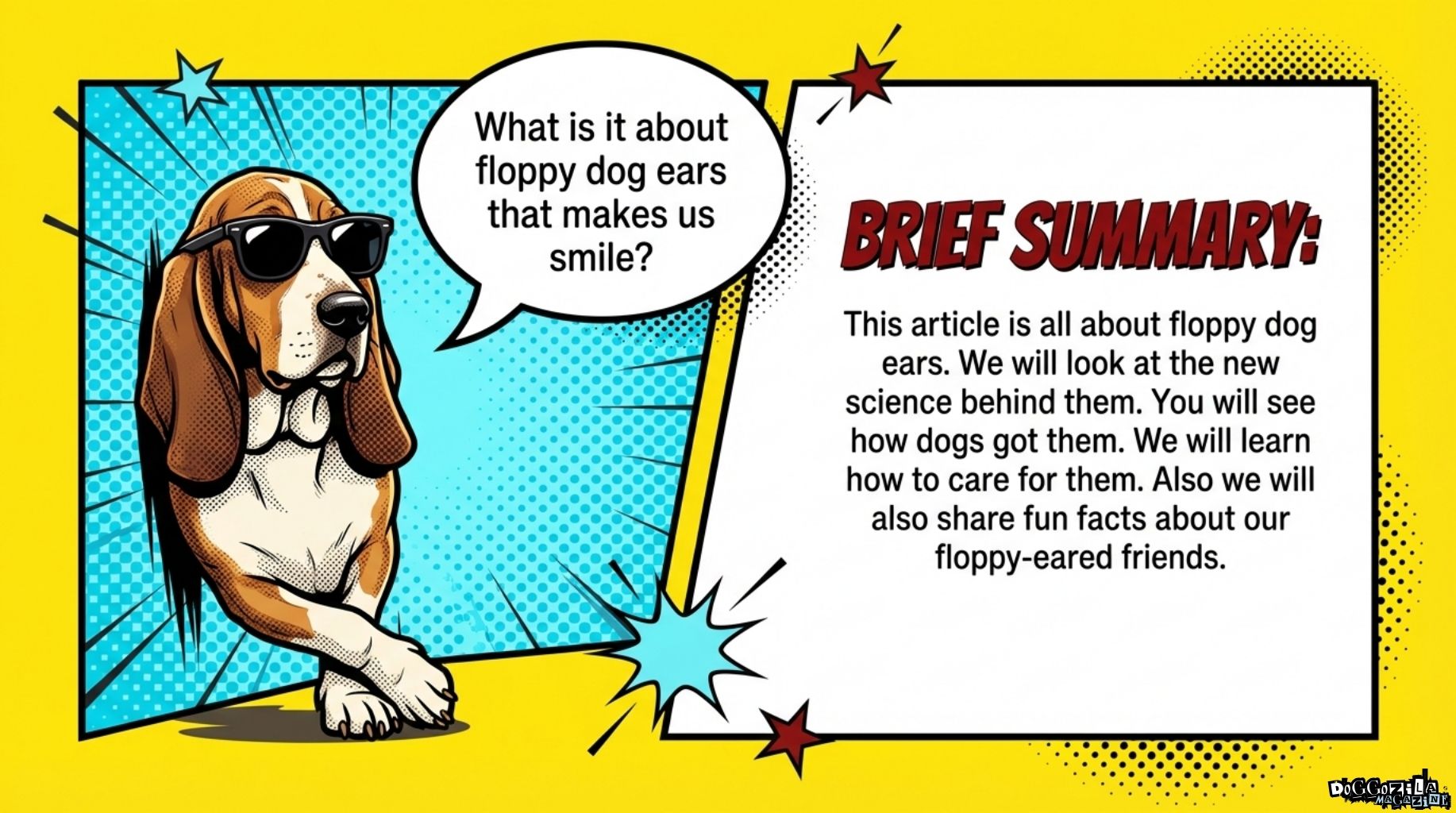 guide to floppy dog ears