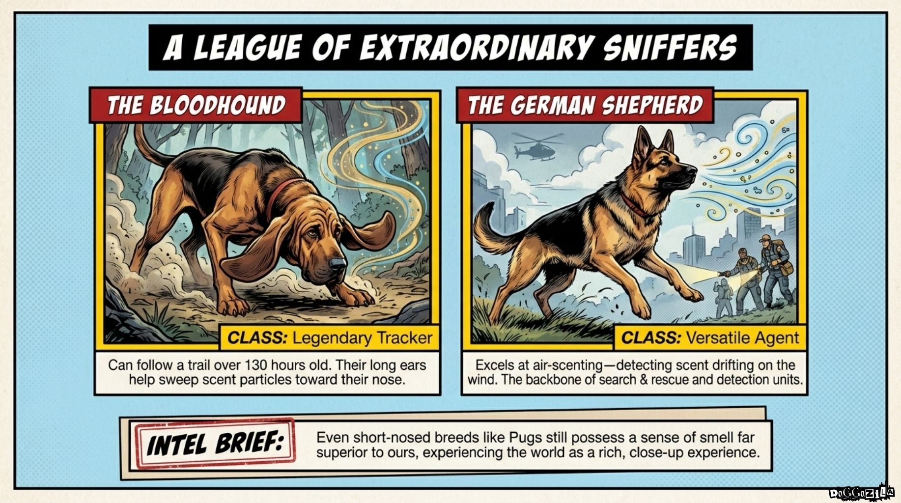 the bloodhound is the scent master