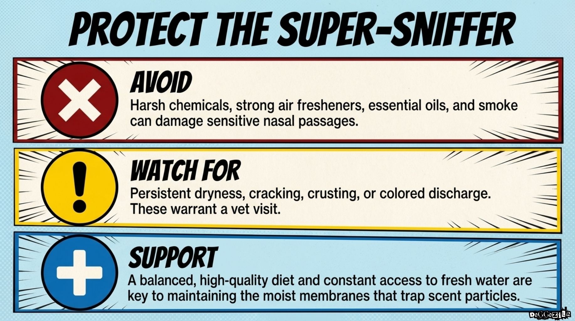 how to protect your dog's nose
