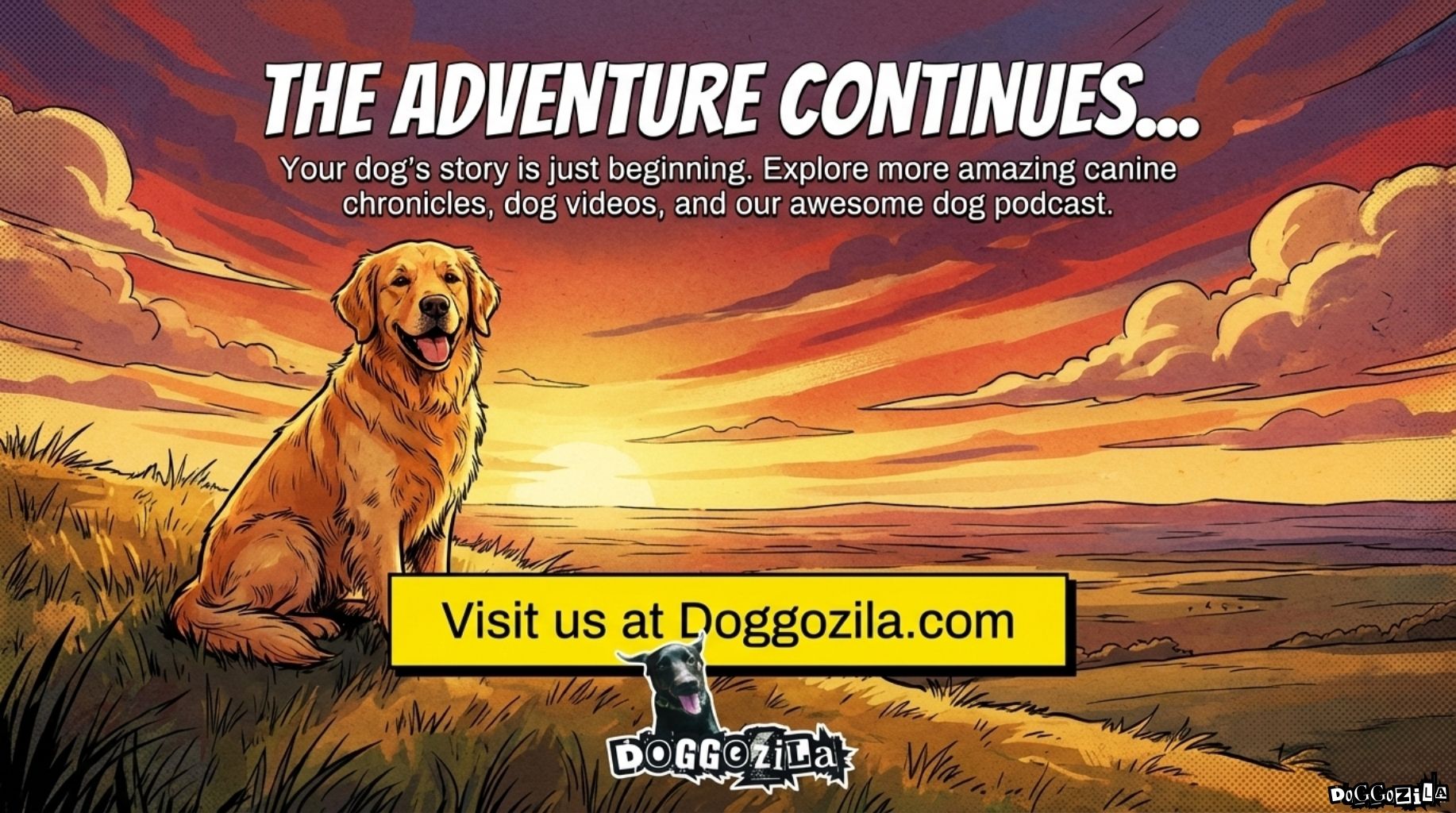 how far can dogs smell