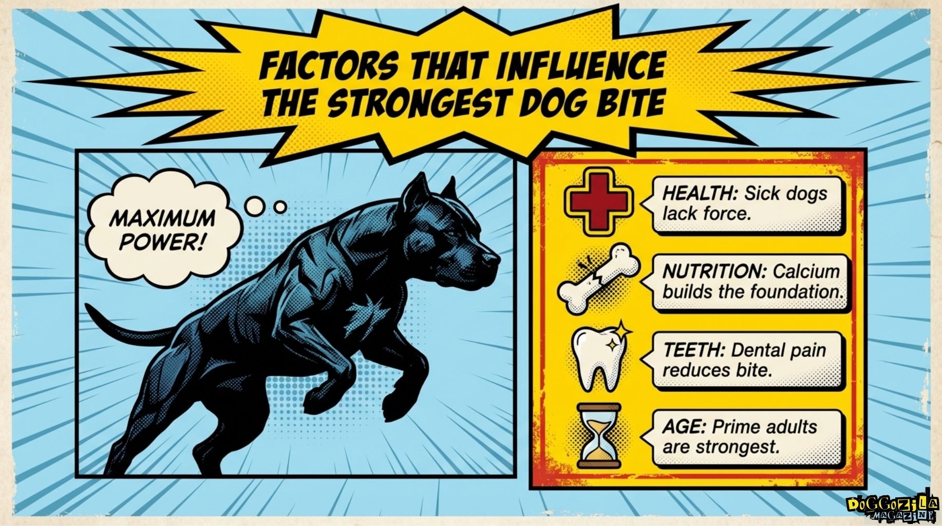 factors that influence the strongest dog bite