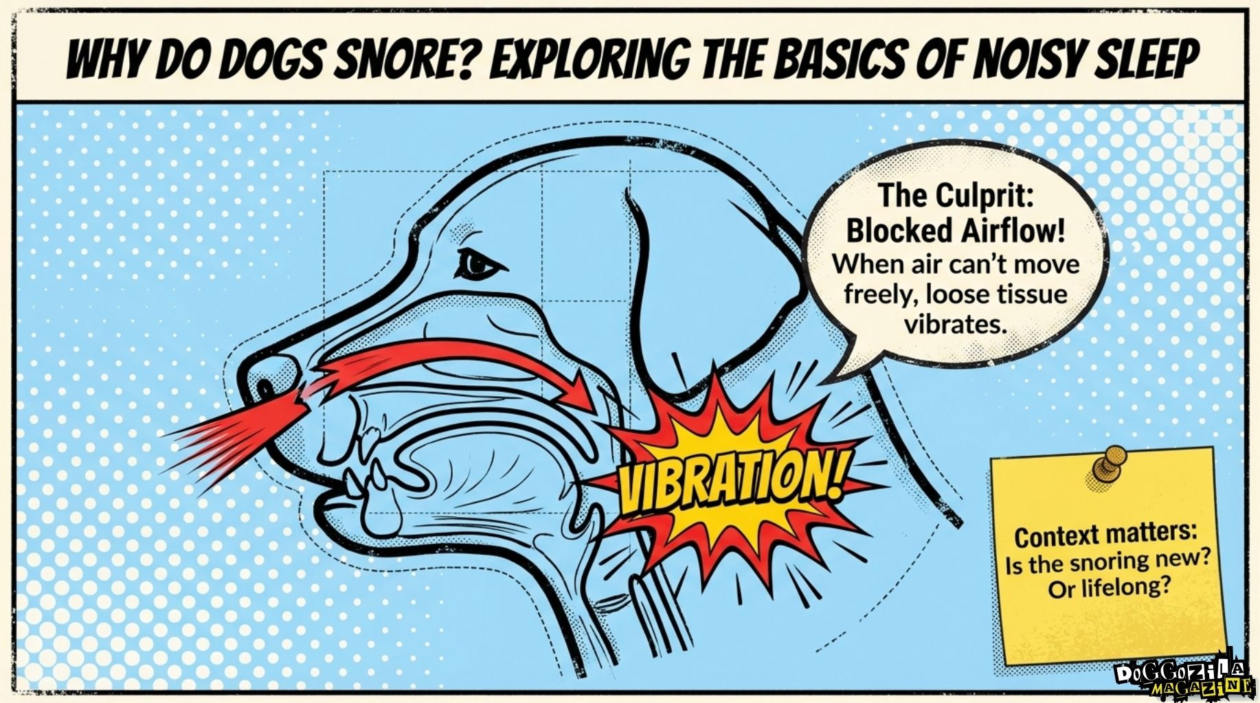 Explore the basics of noisy dog sleep