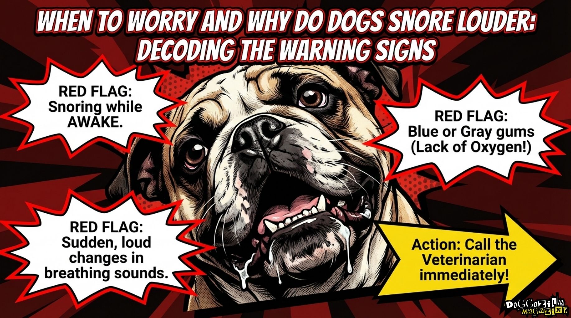when to worry about dog snoring
