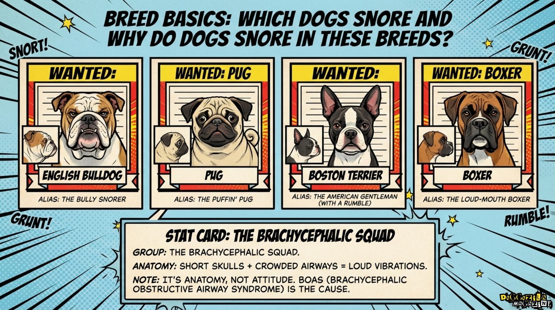 which dogs snore and why these breeds snore more