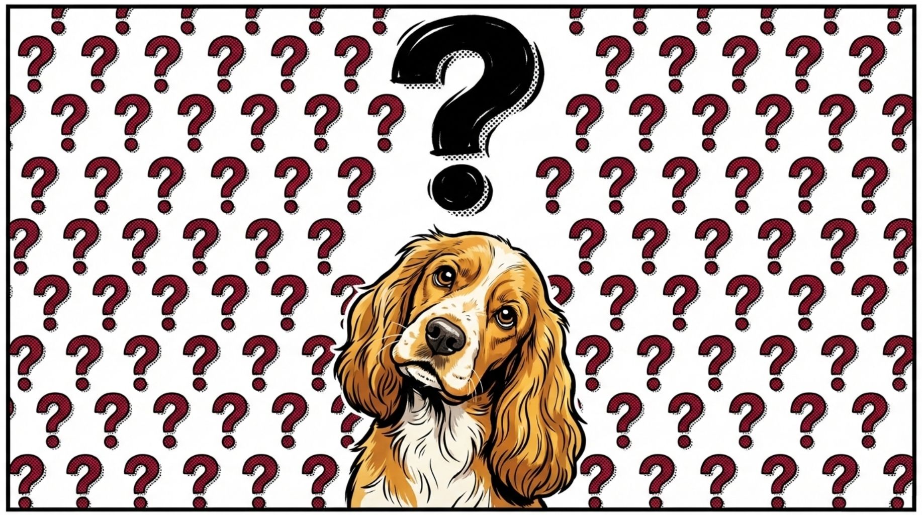 frequently asked questions about how dogs can remember names of their favorite toys