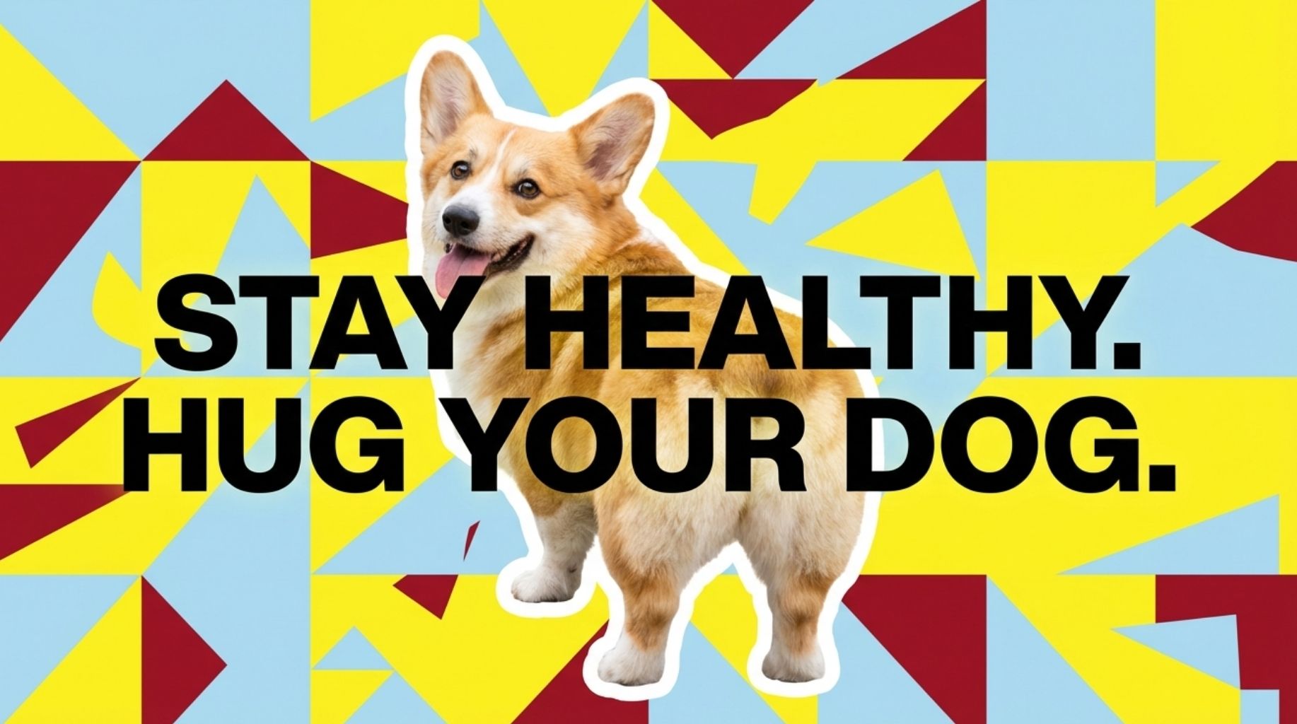 stay healthy and hug your dog more
