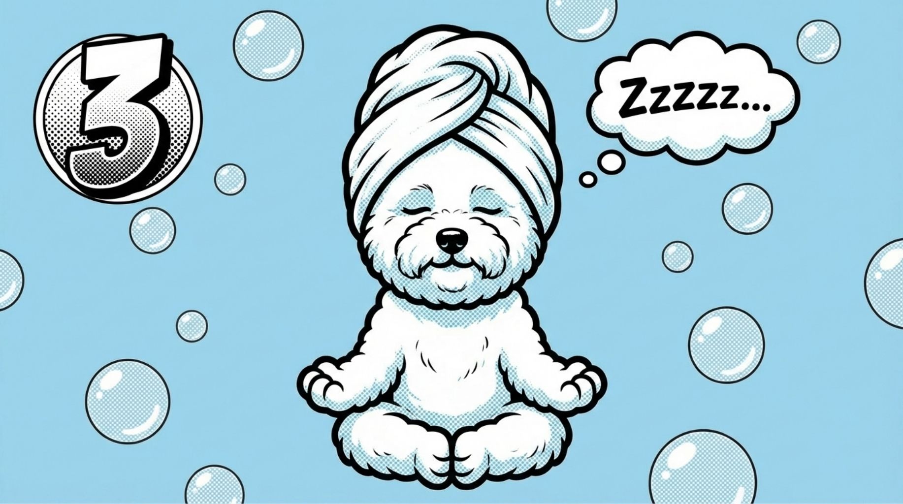 what to do on the 20th february