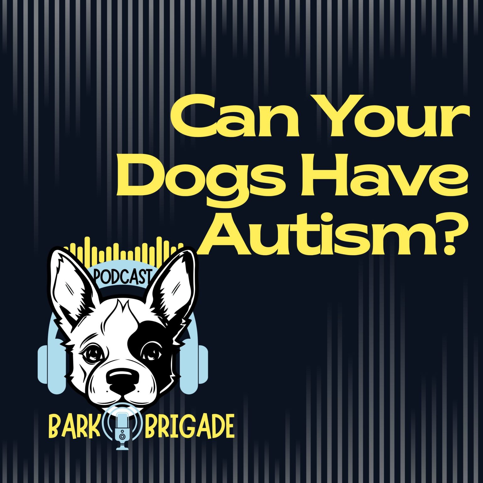 Can_dogs_have_autism