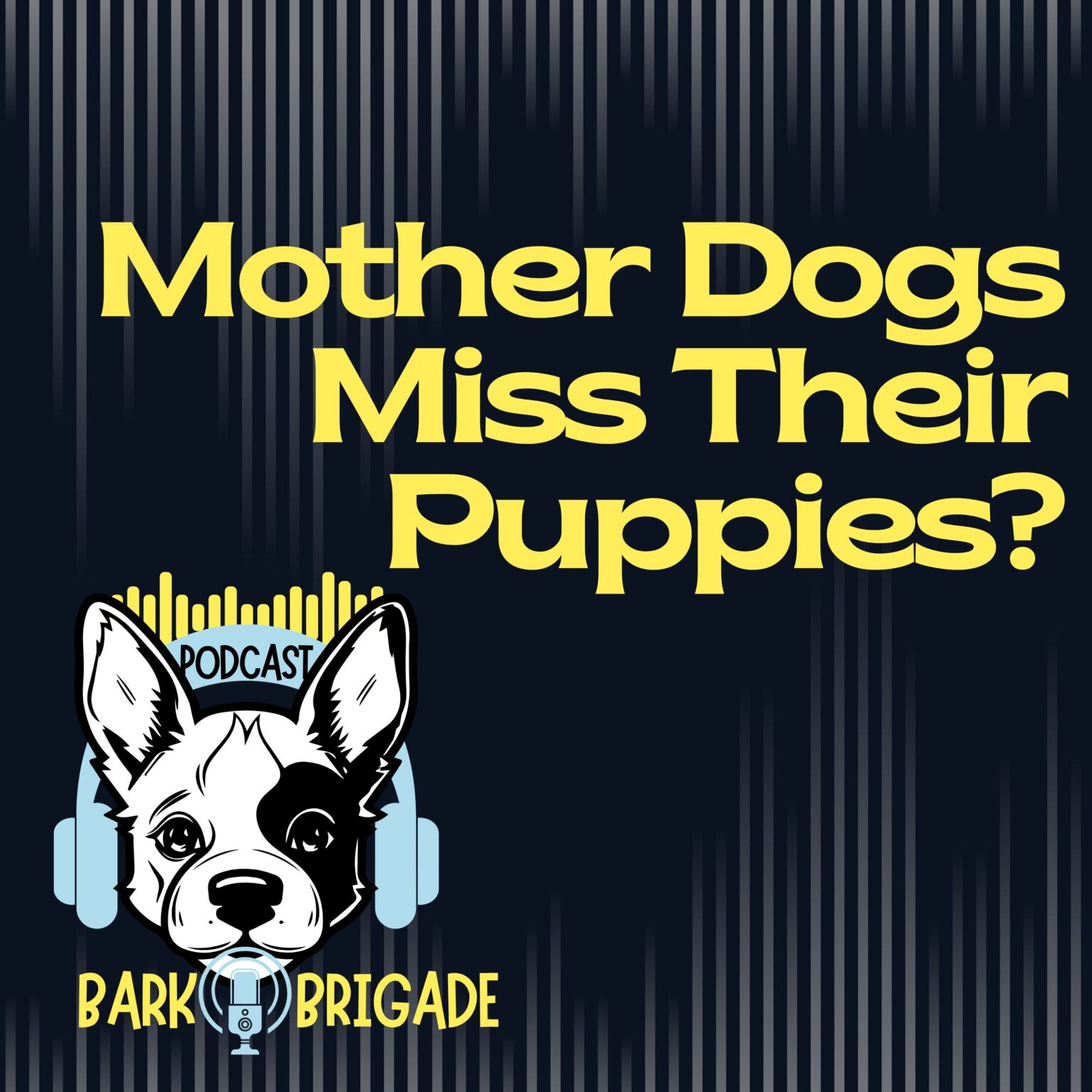 Do_Mother_dogs_miss_their_puppies_after_adoption