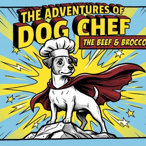 beef and broccoli recipe for your dog