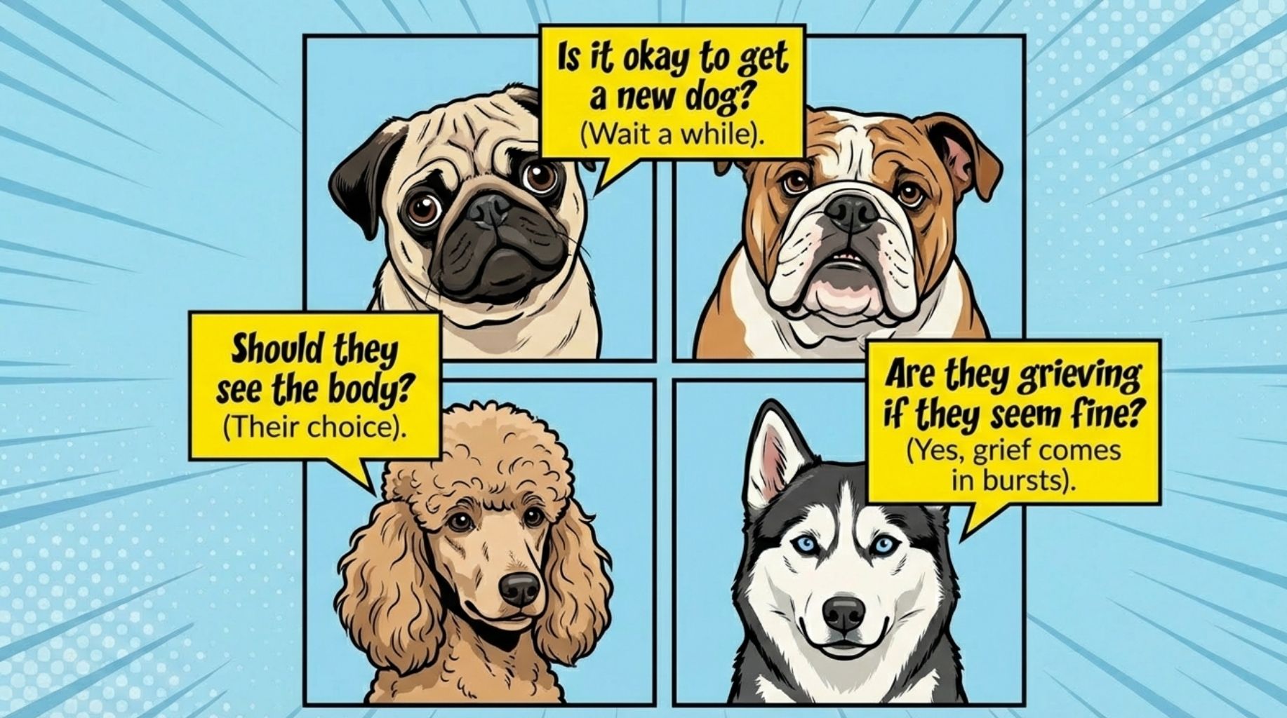 frequently asked questions about child-pet-loss-support