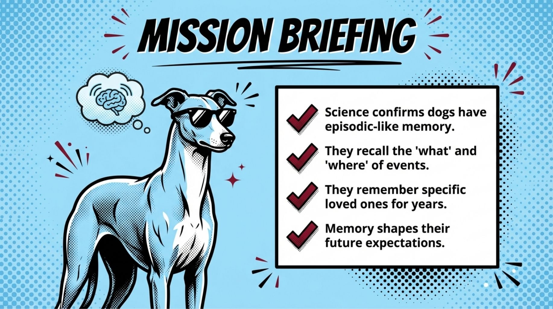 key takeaways about dog memory