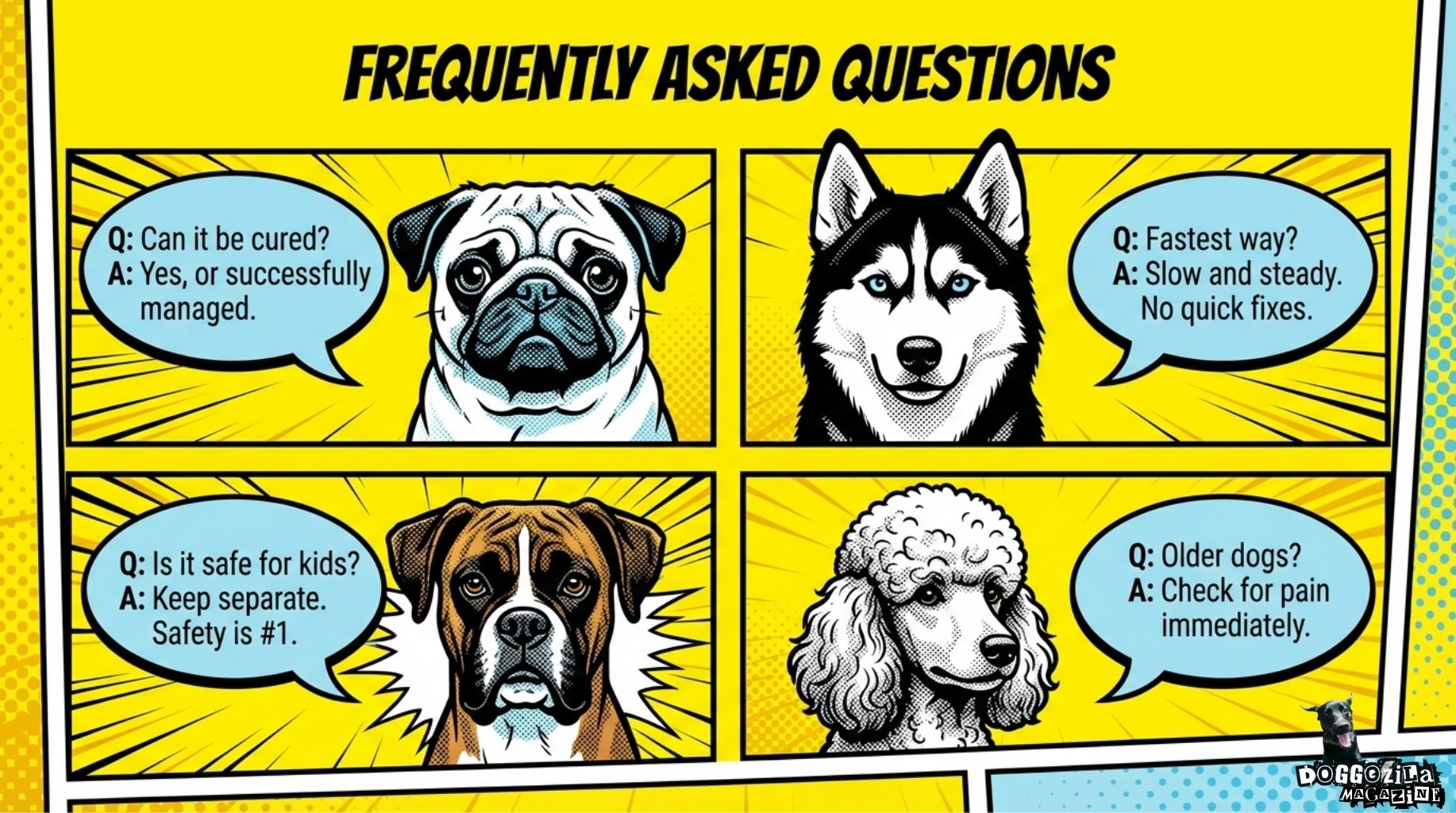 frequently asked questions about aggressive resource guarding dogs