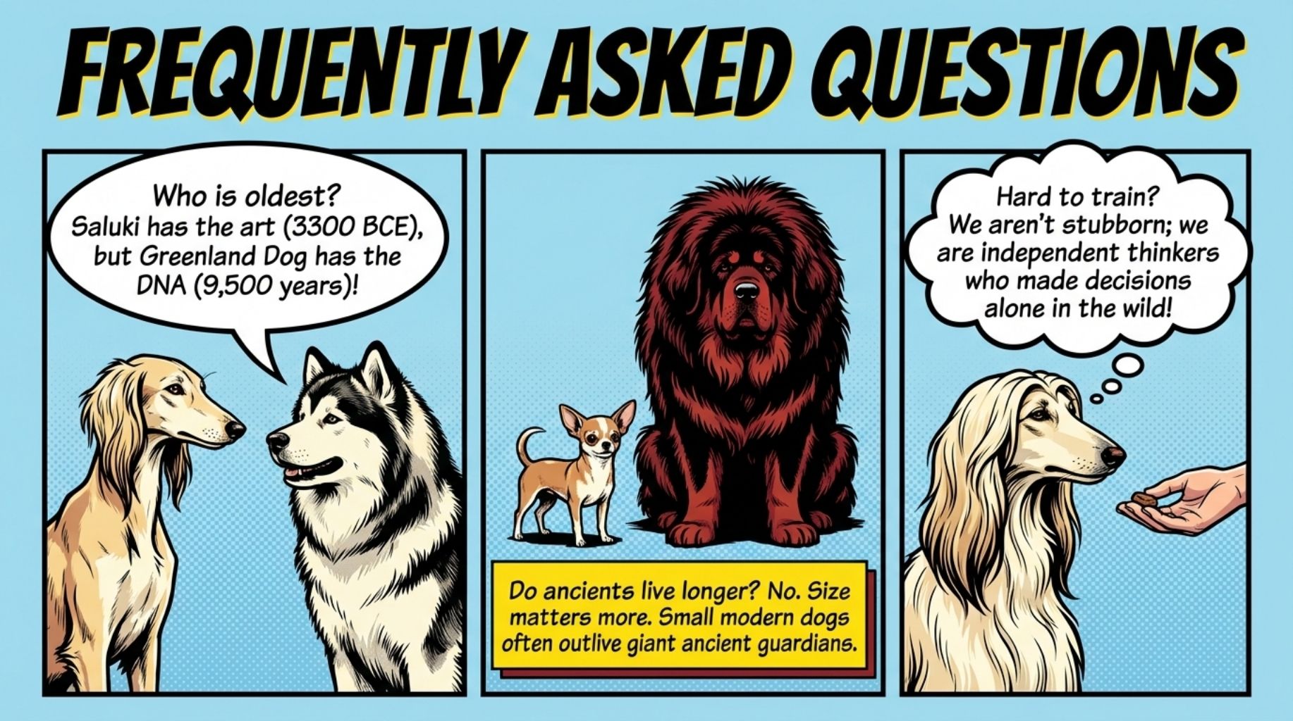 frequently asked questions about the oldest dog breeds