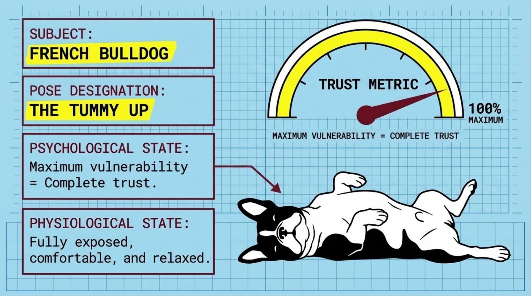 The tummy up sleeping position