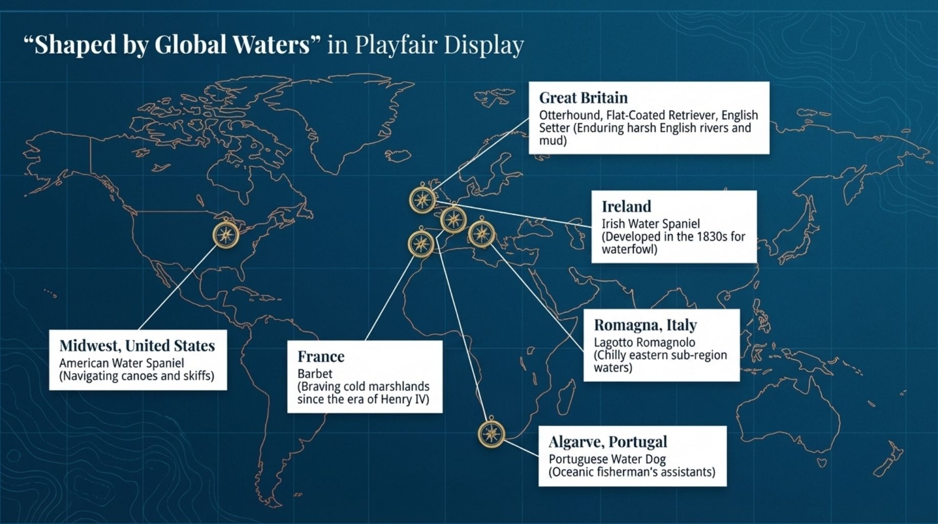 top dog breeds that love swimming