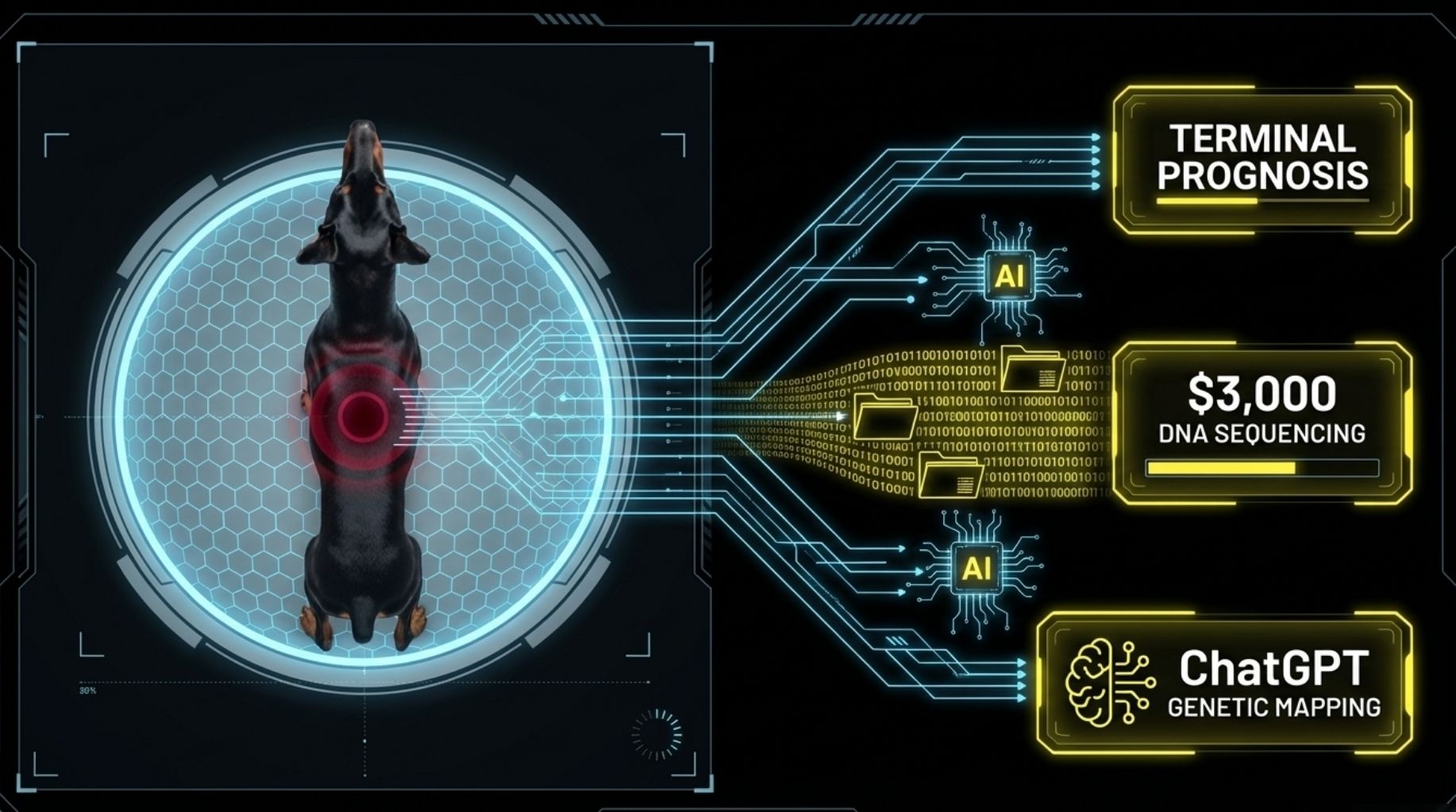 dna sequencing is used to create the cancer vaccine