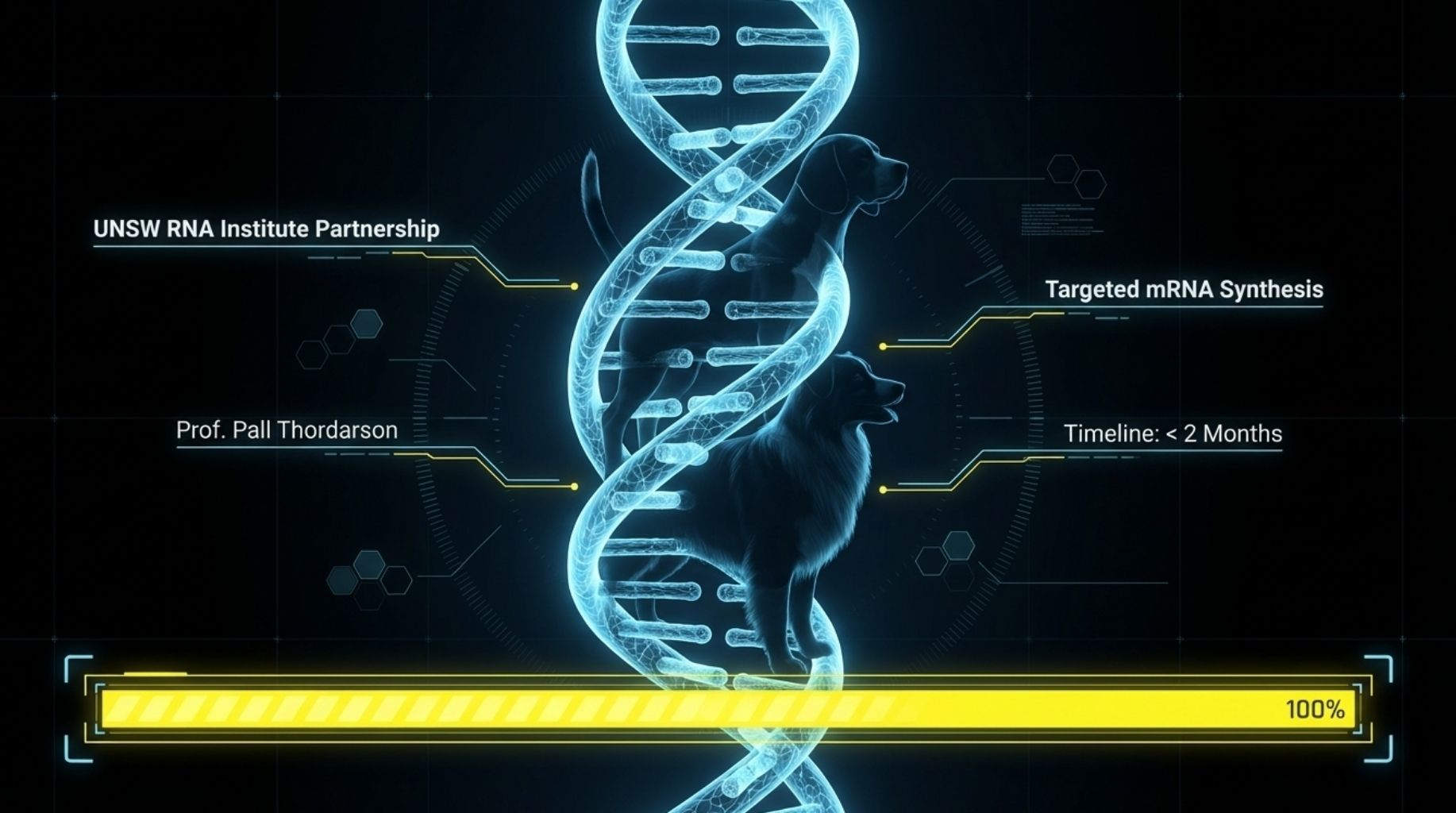 targeting mRNA synthesis