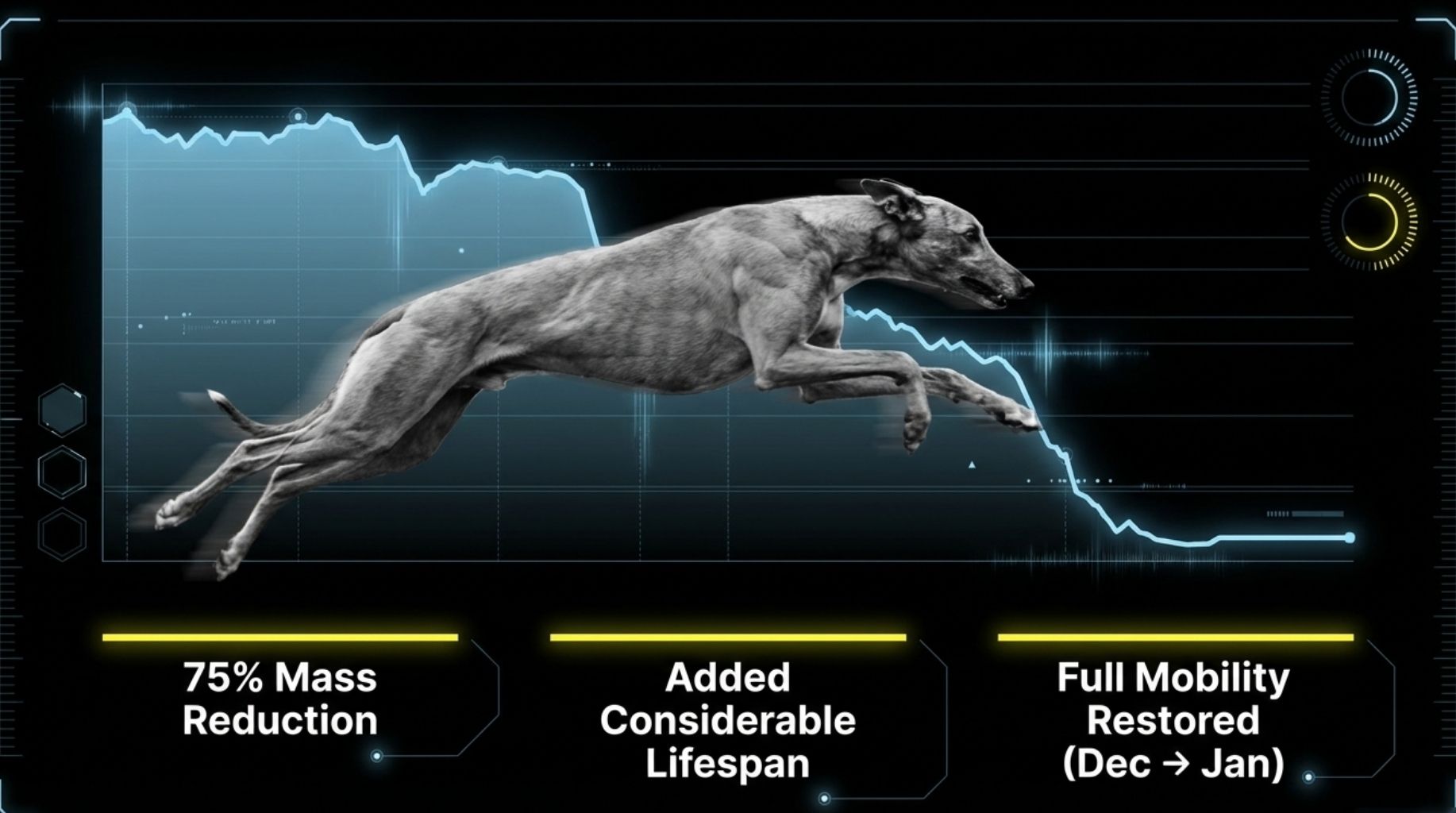 ai cancer vaccine for dogs