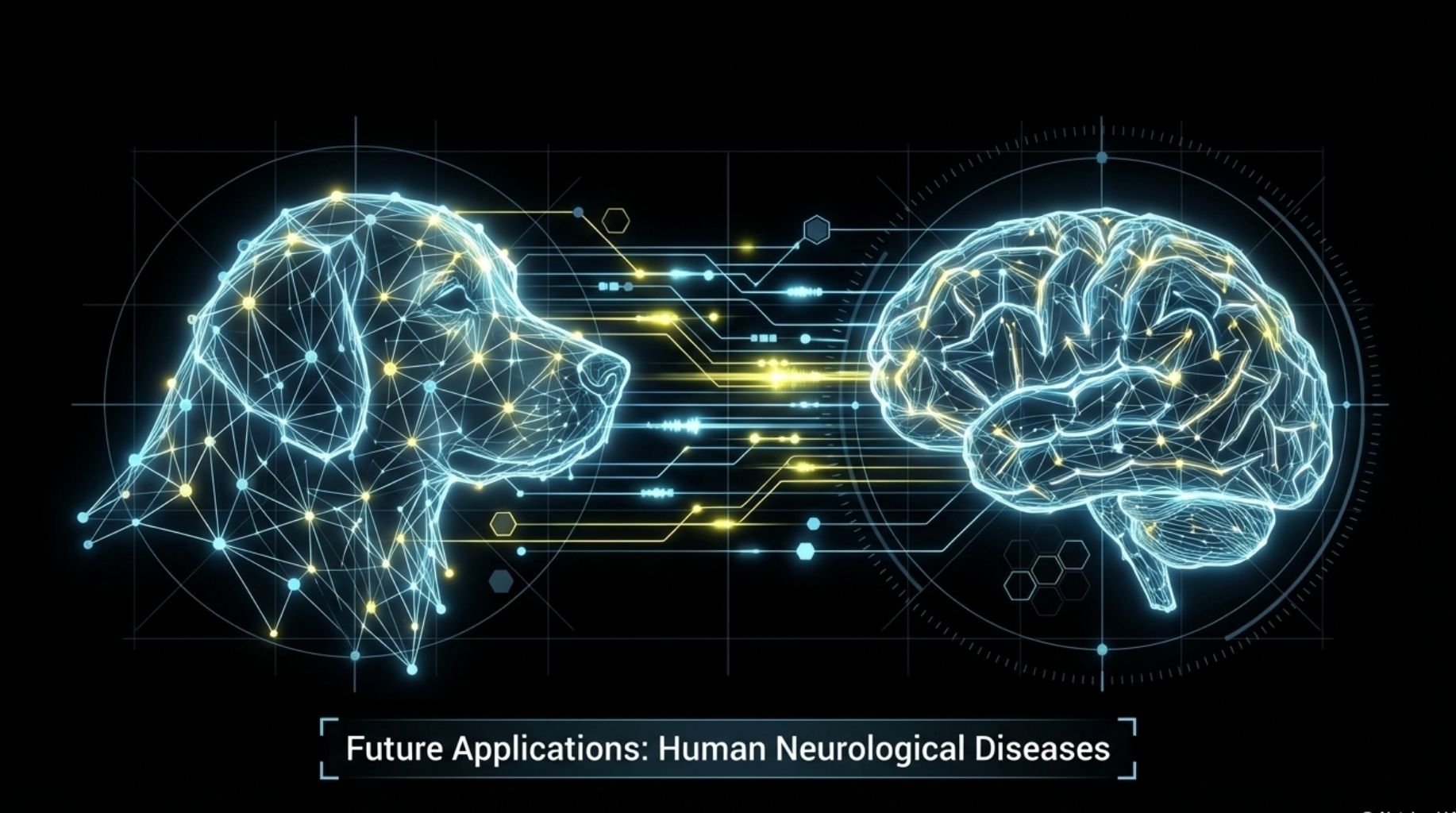 future applications of the AI cancer vaccine for dogs