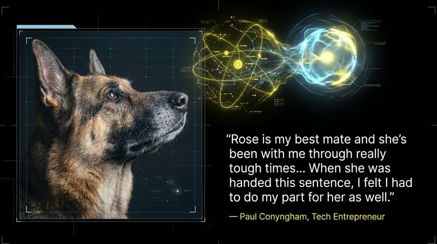 the dog Rose survived