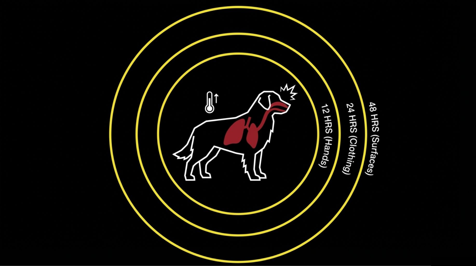 Can My Dog Get The Flu? History of Canine Influenza