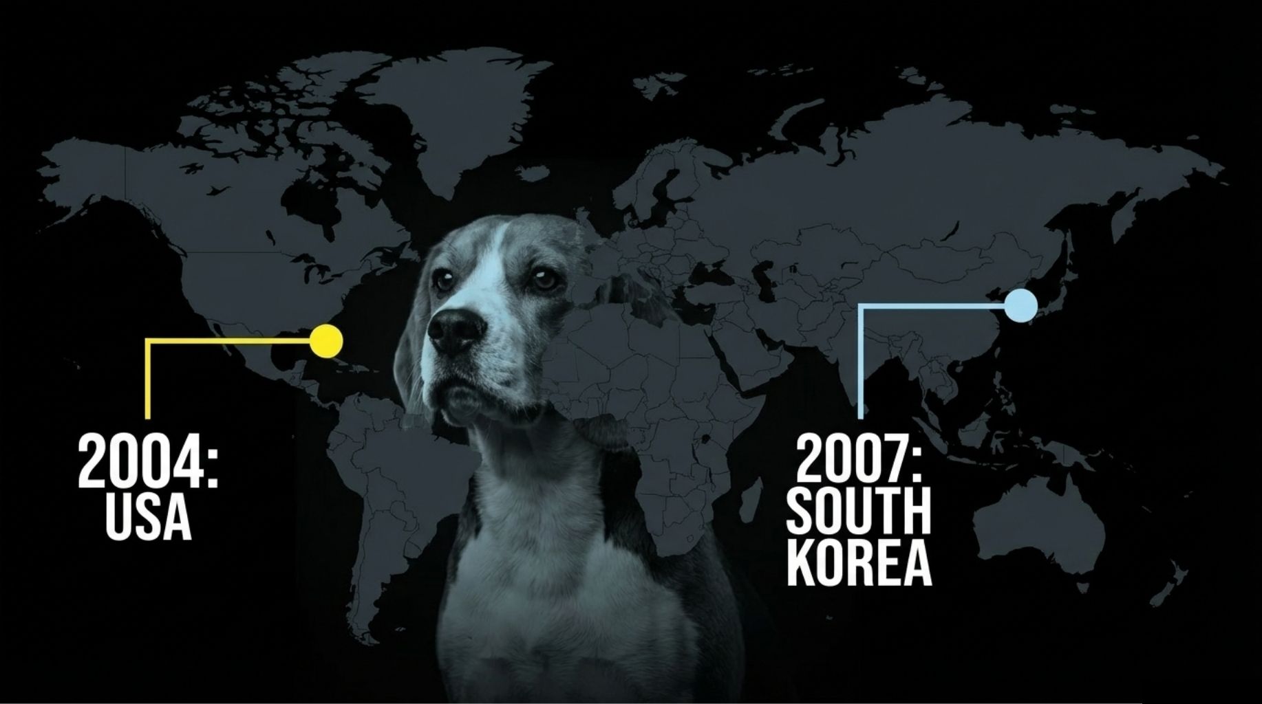 the first cases of canine influenza