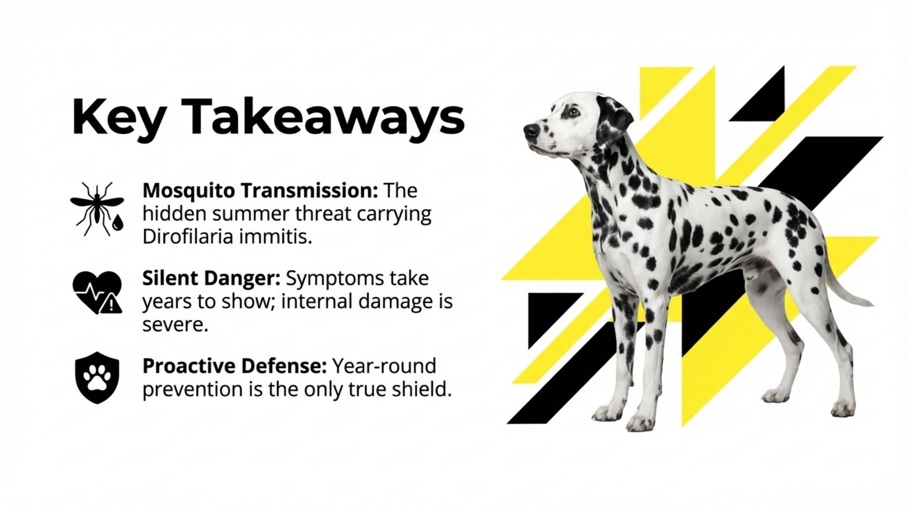 key takeaways on heartworm disease