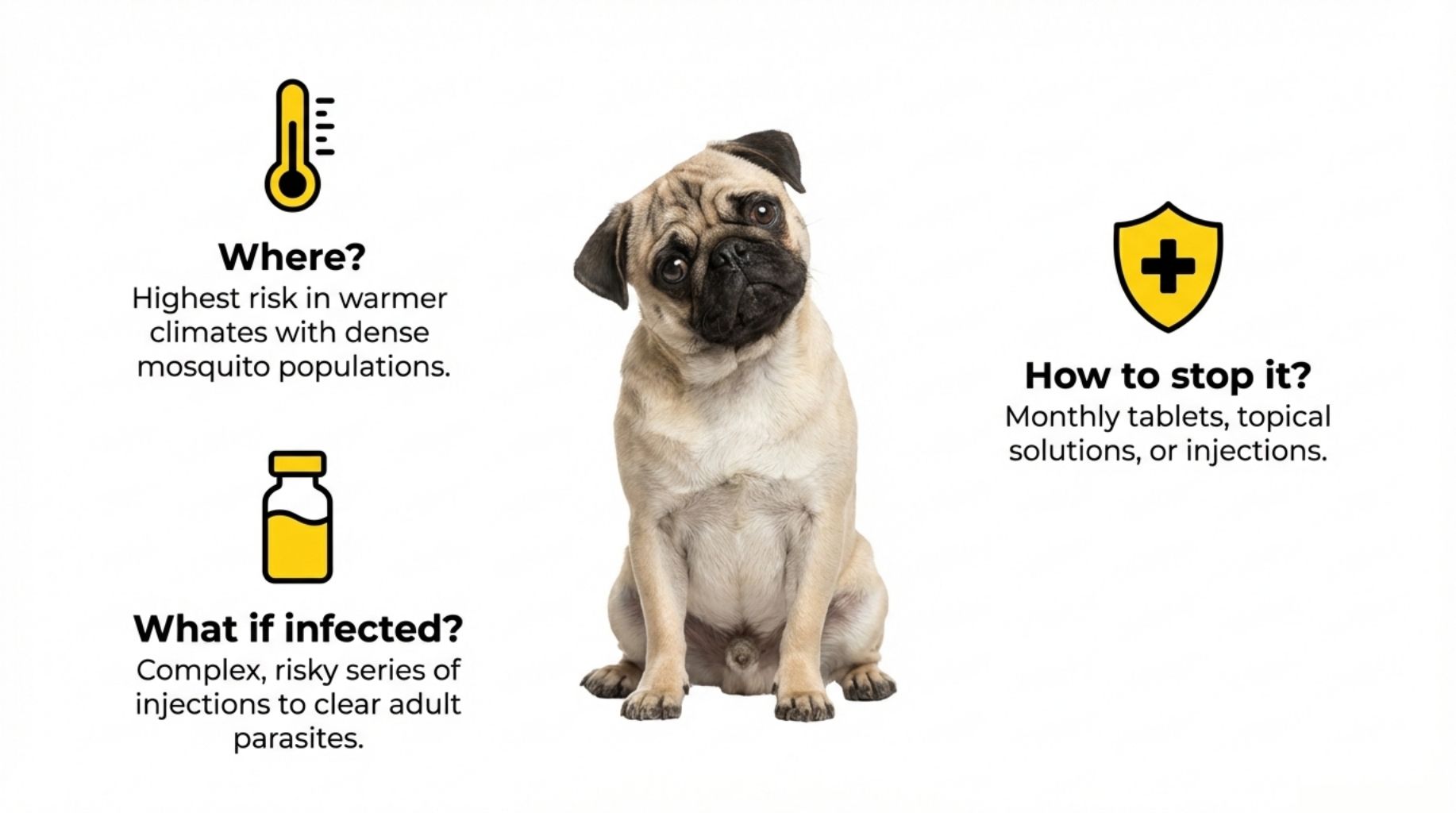 frequently asked questions about the heartworm disease in dogs