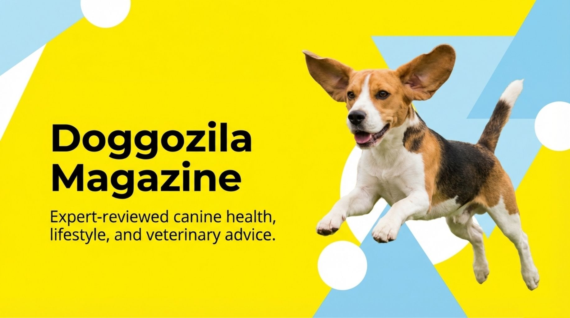 Read the dog health, lifestyle and vet advice at the expert reviewed Doggozila Magazine
