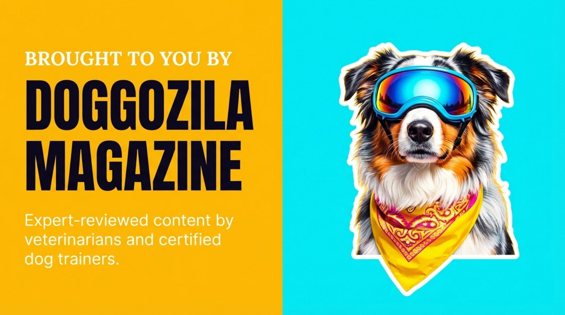 How Can Fleas and Ticks Affect My Dog