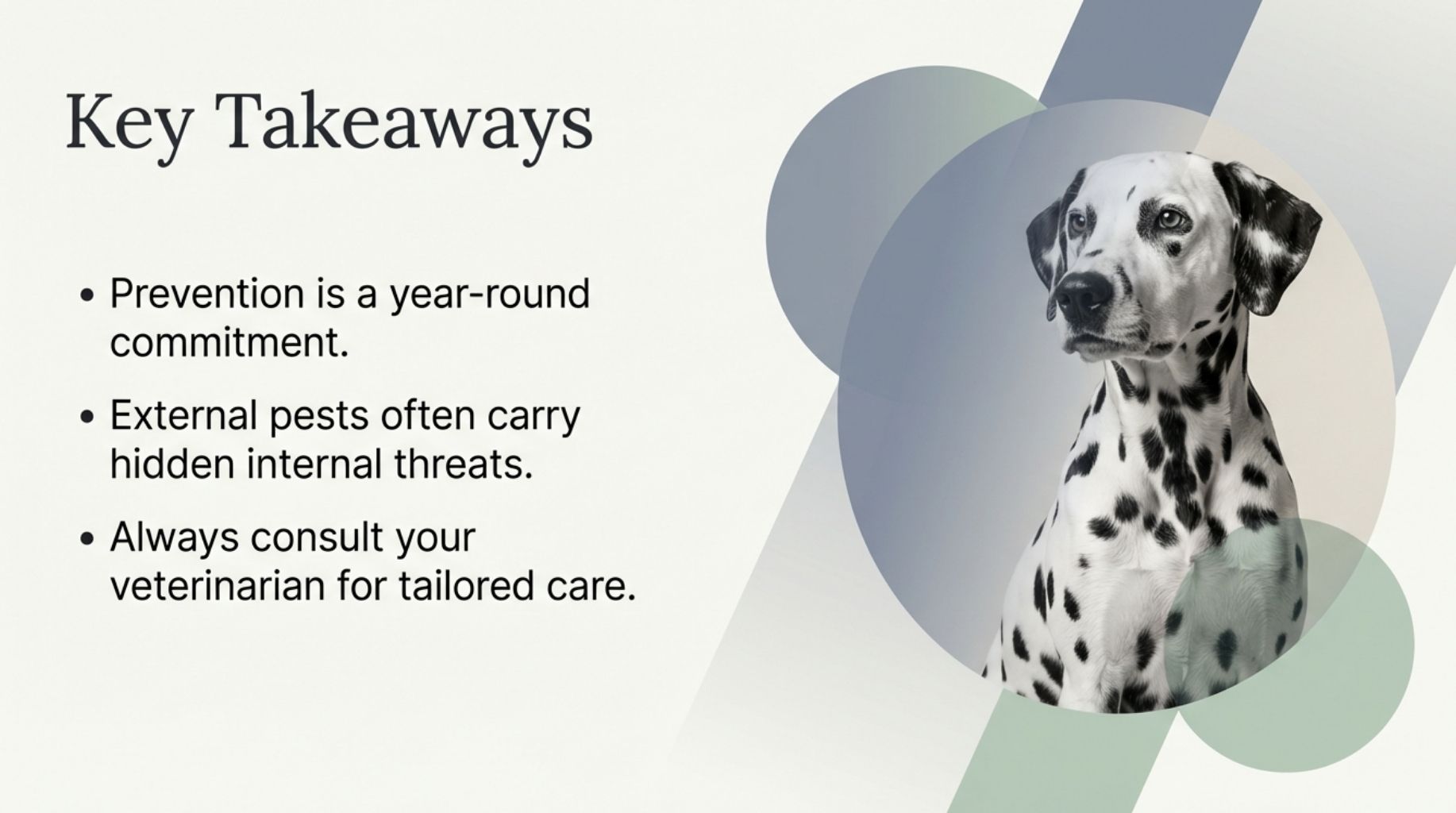 key takeaways about dog fleas and ticks