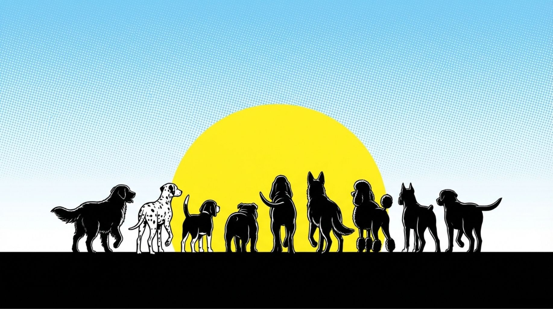 lots of dogs going away to the sunset