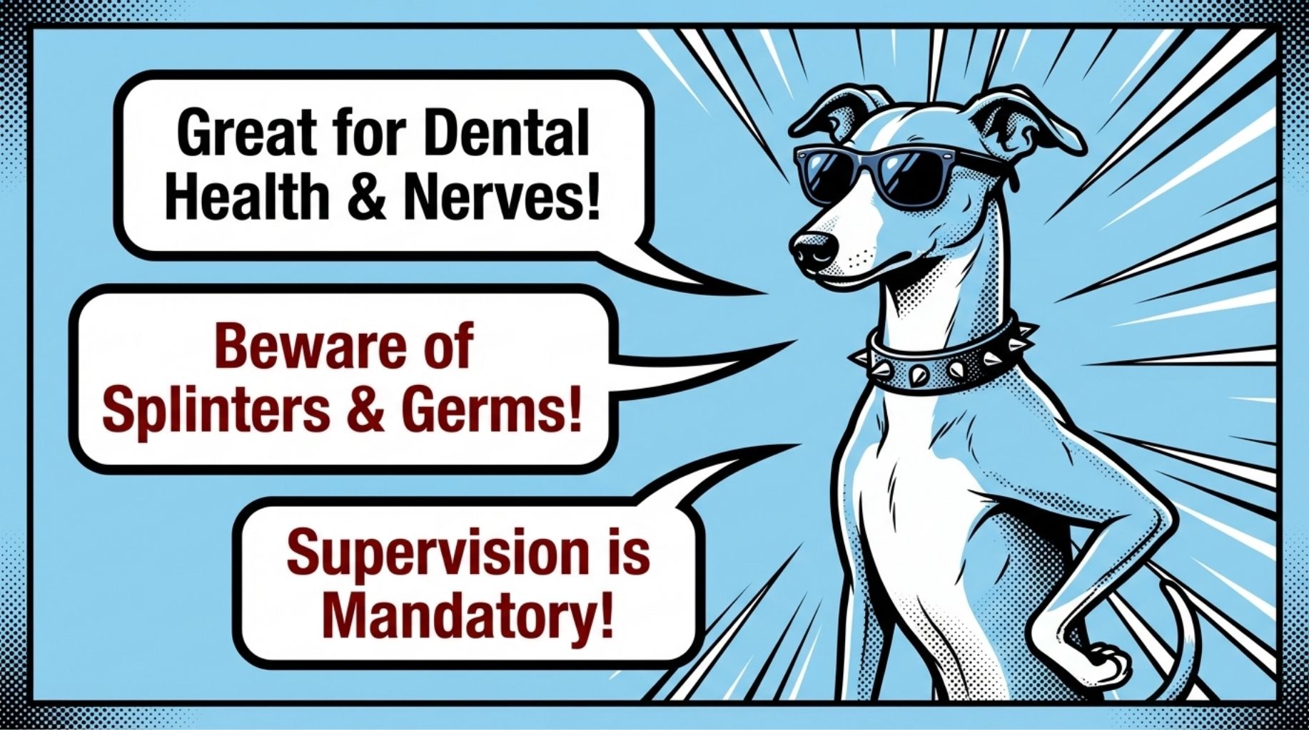 Dog Chew Bones Tips and Expert Advice