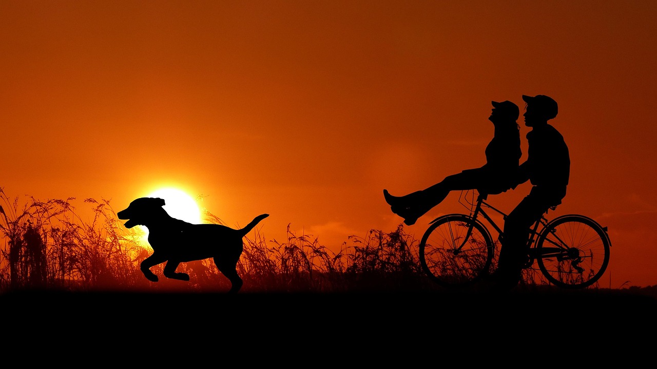sunset, couple, pet, bike, dog, love, romantic, animal, romance, together, dusk, relationship, summer, nature