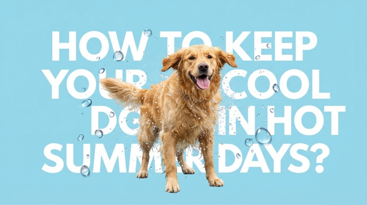 golden retriever enjoying summer