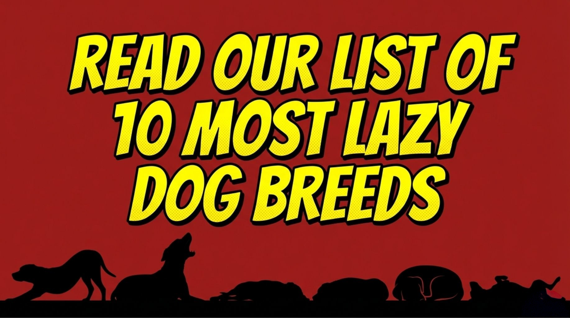 list of 10 most lazy dog breeds