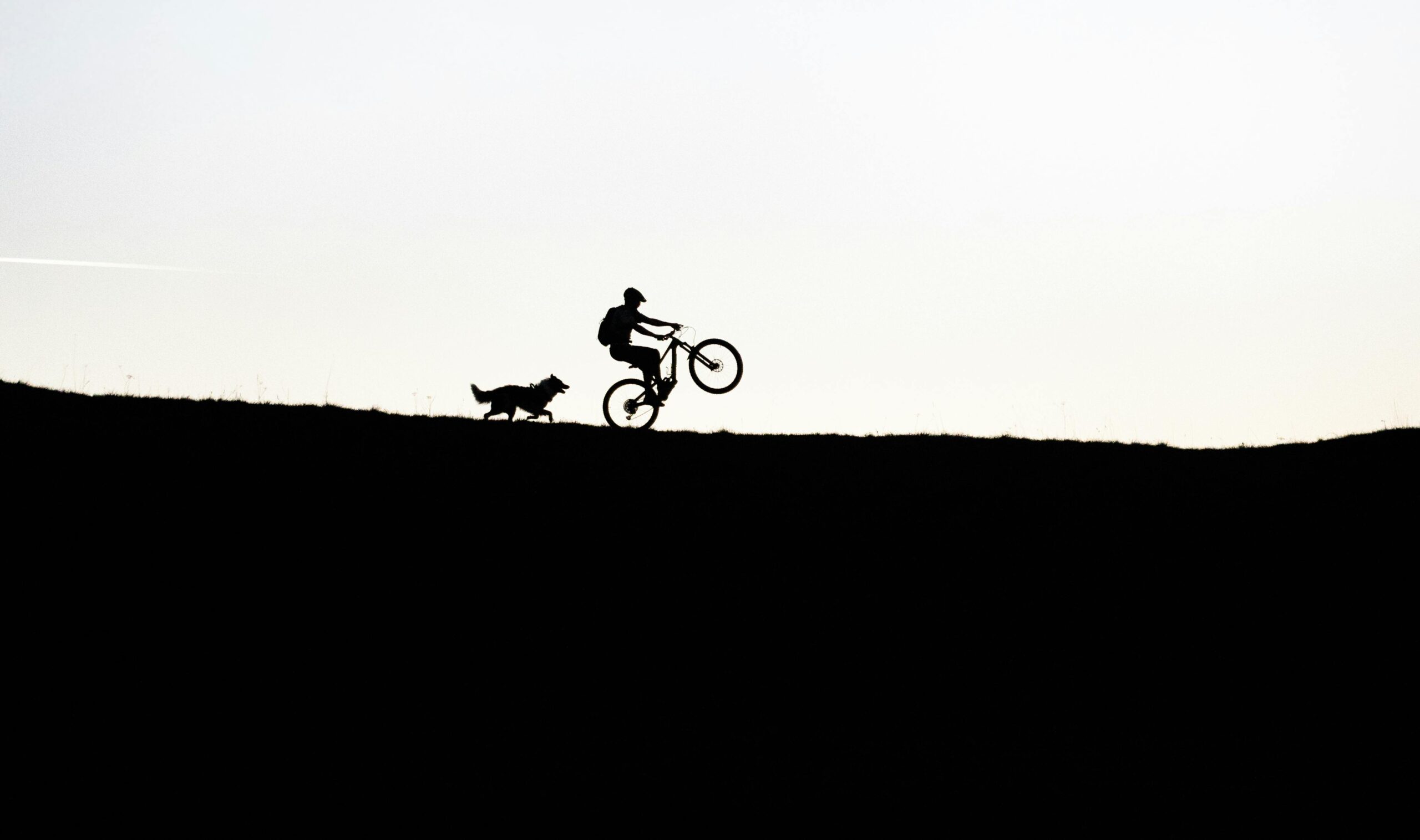 A serene silhouette of a cyclist performing a wheelie with a dog running alongside at dusk.