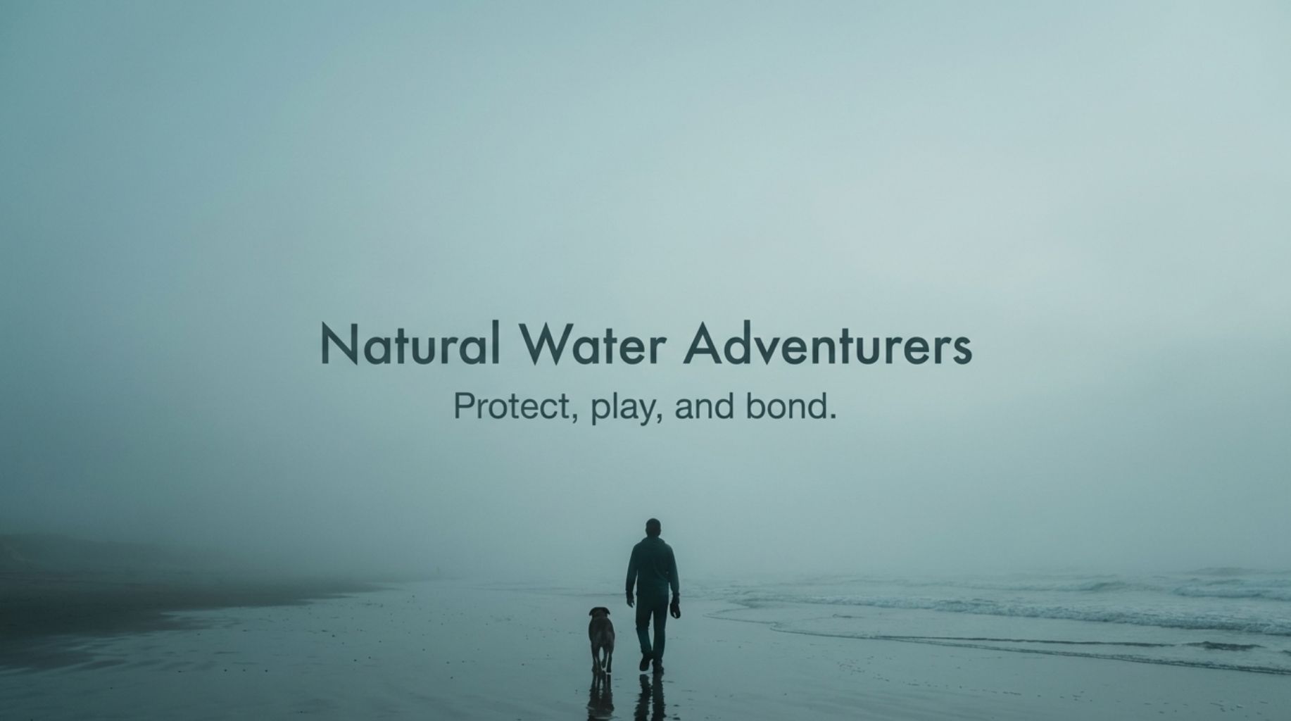 top dog breeds that love swimming