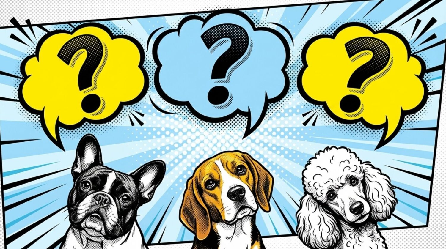 faq about silent pain in dogs