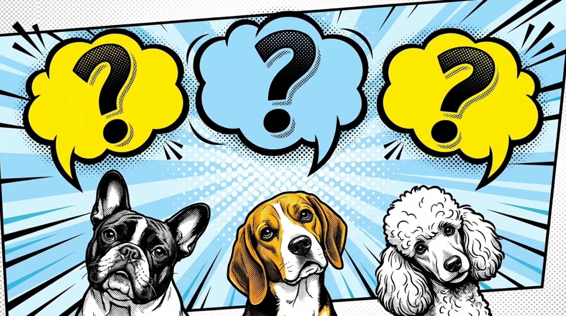 faq about silent pain in dogs